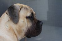 IMG_0565_1