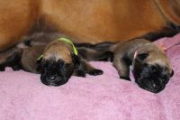 IMG_4123