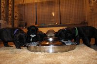 IMG_4645_-_kopie