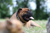 IMG_5347_-_kopie